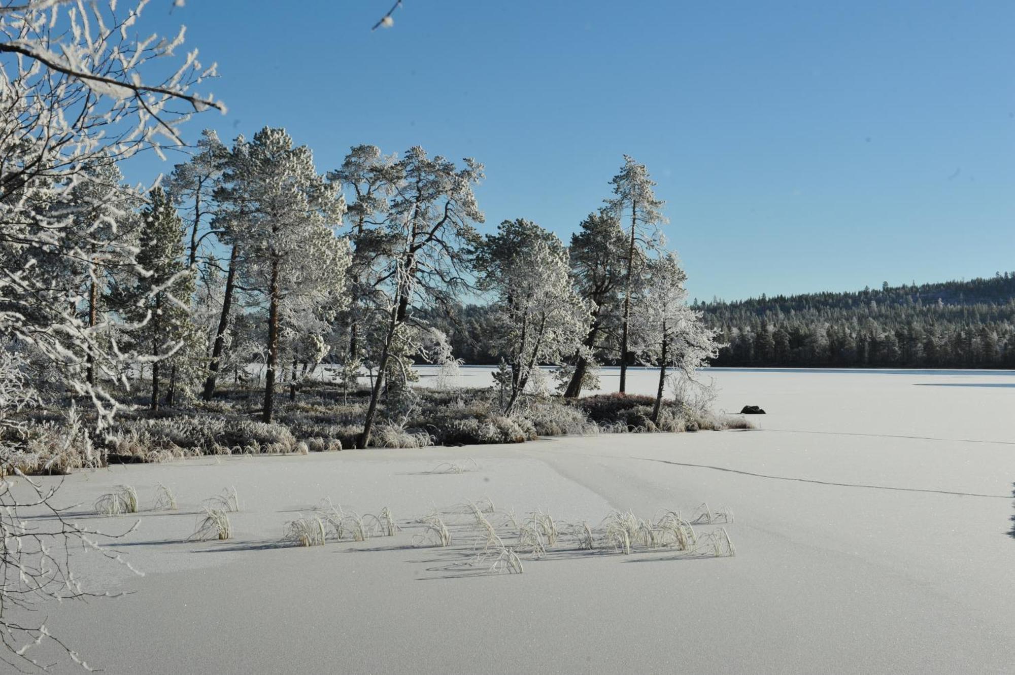 Auroracabin Chalets Saariselkä Pokój zdjęcie