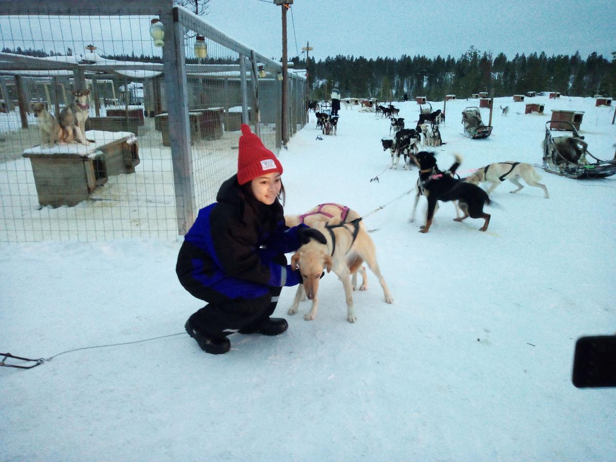 Auroracabin Chalets Saariselkä Zewnętrze zdjęcie