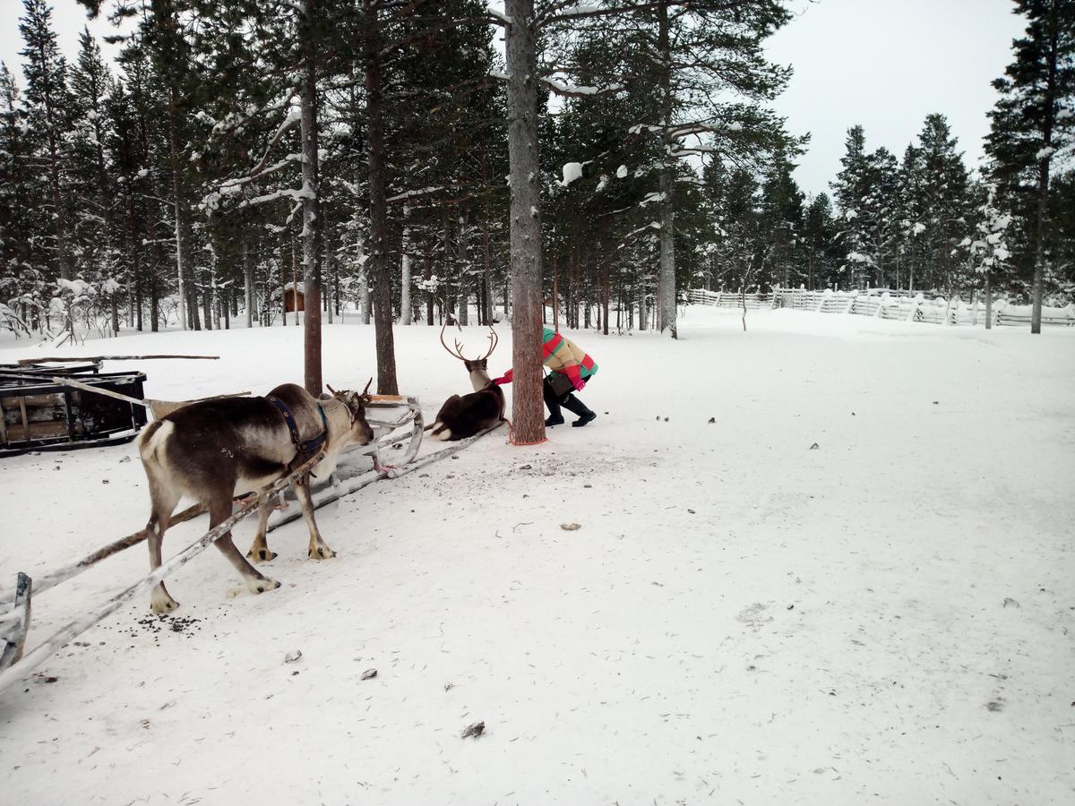 Auroracabin Chalets Saariselkä Zewnętrze zdjęcie