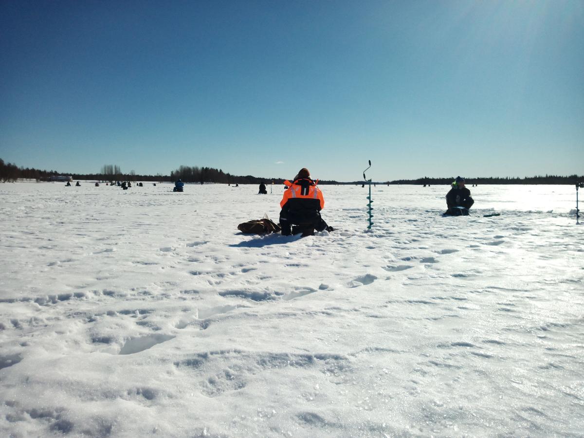 Auroracabin Chalets Saariselkä Zewnętrze zdjęcie